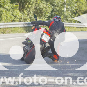 thumb_FF106734