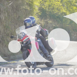 thumb_FF106742