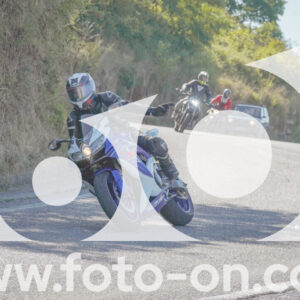 thumb_FF106754
