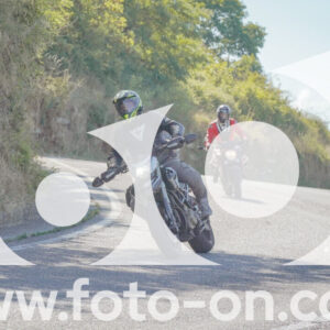 thumb_FF106757