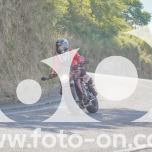 thumb_FF106759
