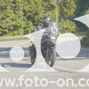 thumb_FF106830
