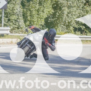 thumb_FF106831