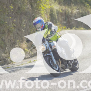 thumb_FF106845