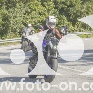 thumb_FF106849