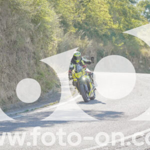 thumb_FF106862