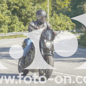 thumb_FF106865