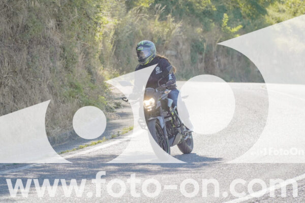 <h1 class="product-title">thumb_FF106880</h1>