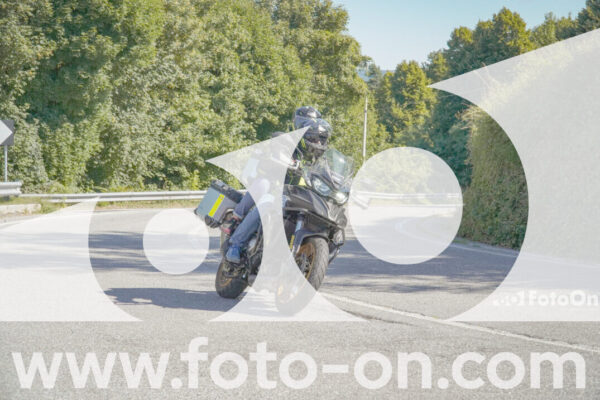 <h1 class="product-title">thumb_FF106886</h1>