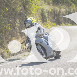 thumb_FF106895
