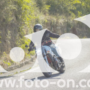 thumb_FF106896