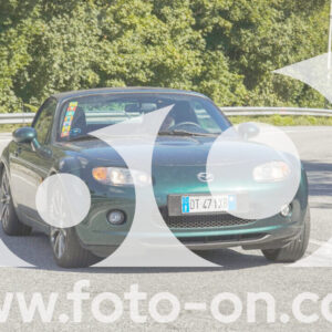 thumb_FF106900-1