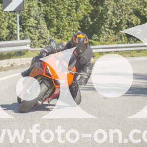 thumb_FF106909