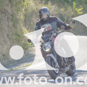thumb_FF106920