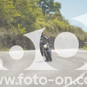 thumb_FF106925-1