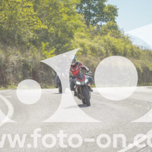 thumb_FF106931