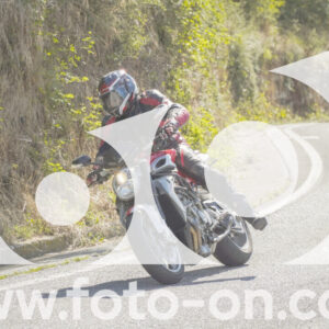 thumb_FF106934