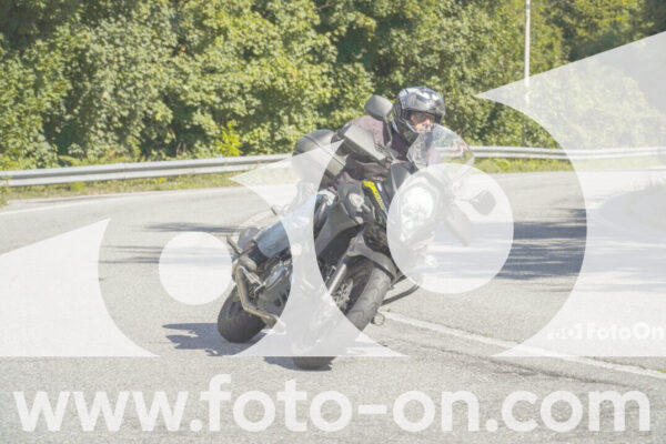 <h1 class="product-title">thumb_FF106937</h1>