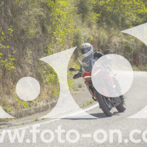thumb_FF106940-1
