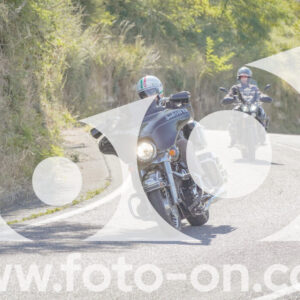 thumb_FF106953