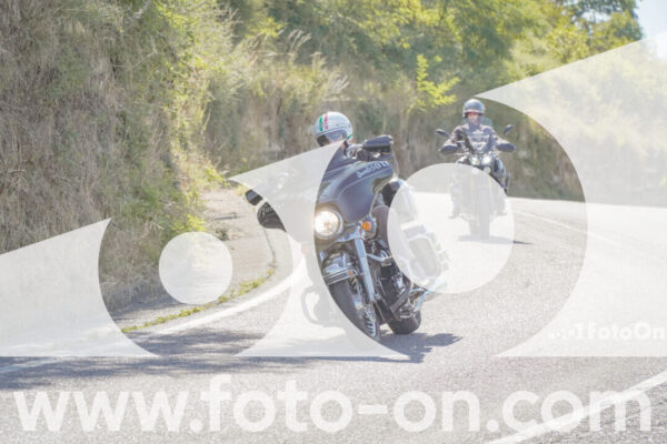 <h1 class="product-title">thumb_FF106953</h1>