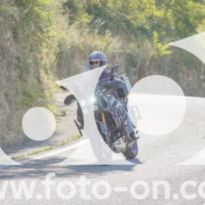 thumb_FF106954