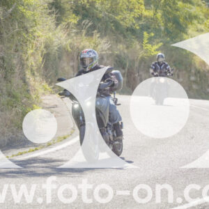 thumb_FF106958