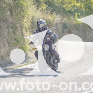 thumb_FF106959