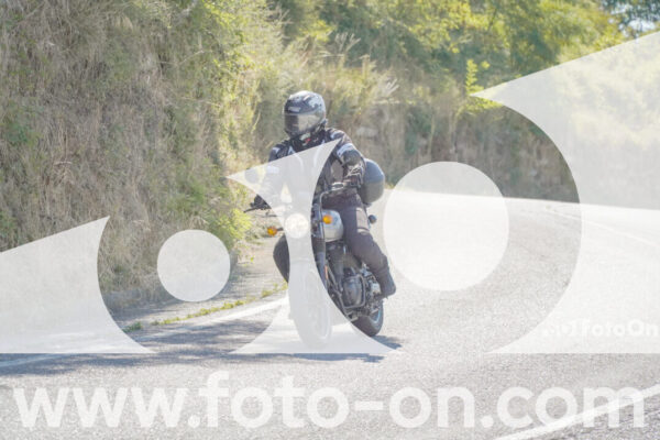 <h1 class="product-title">thumb_FF106959</h1>