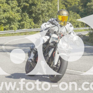thumb_FF106960