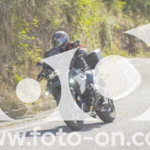 thumb_FF106963