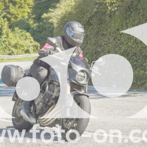 thumb_FF106972