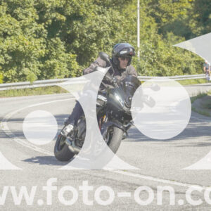 thumb_FF106973