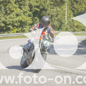 thumb_FF106989