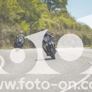 thumb_FF106996