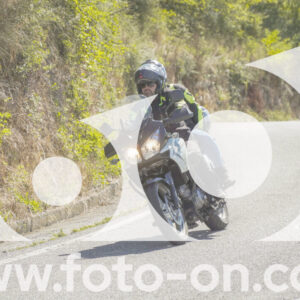 thumb_FF107033