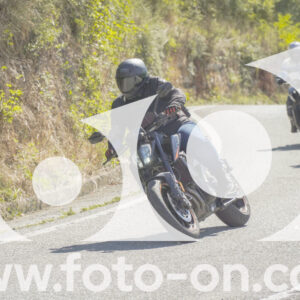 thumb_FF107045-1
