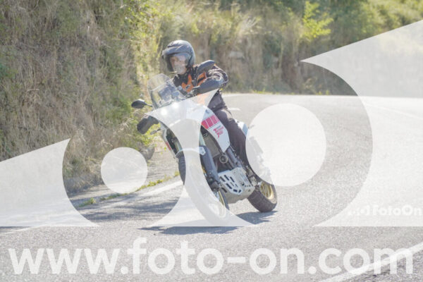 <h1 class="product-title">thumb_FF107076</h1>