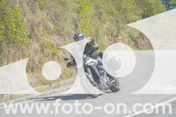 <h1 class="product-title">thumb_FF107472</h1>