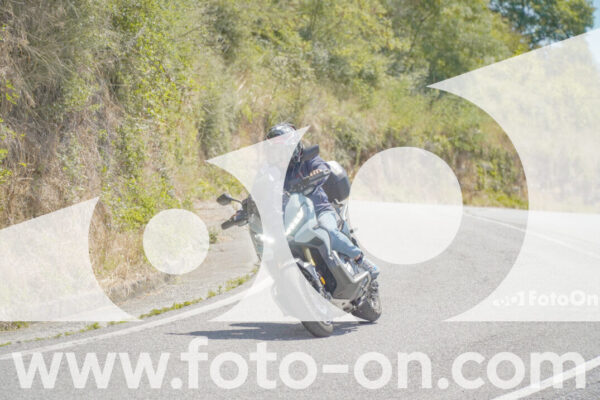 <h1 class="product-title">thumb_FF107837</h1>