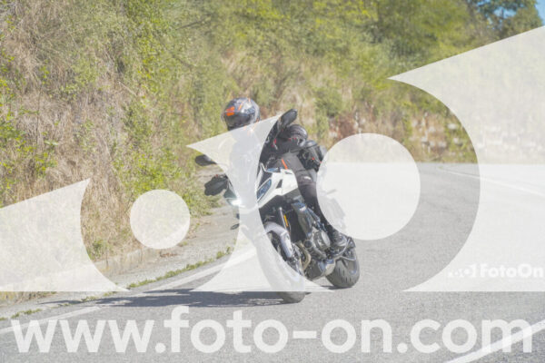 <h1 class="product-title">thumb_FF107855</h1>