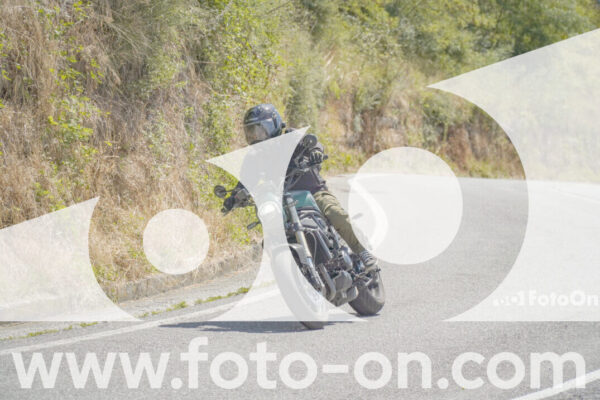 <h1 class="product-title">thumb_FF107867</h1>