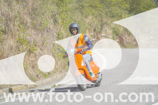<h1 class="product-title">thumb_FF107935-1</h1>