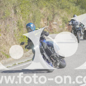 thumb_FF107940
