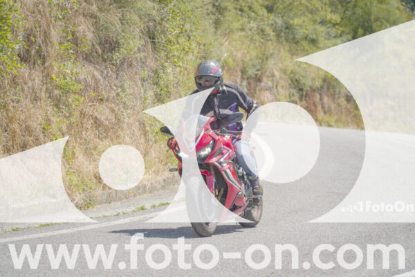 <h1 class="product-title">thumb_FF107952</h1>