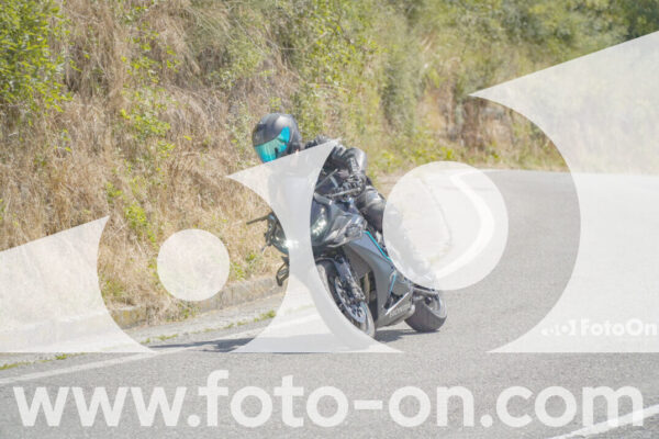 <h1 class="product-title">thumb_FF107954</h1>