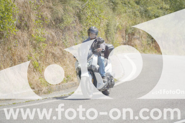 <h1 class="product-title">thumb_FF107965</h1>