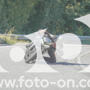 thumb_FF108050-1