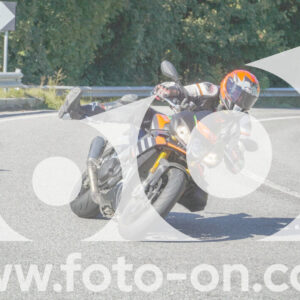 thumb_FF108065
