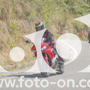 thumb_FF108068